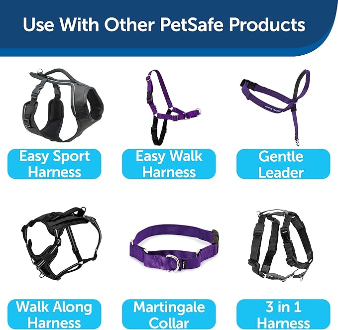 PetSafe Nylon Dog Leash – Strong, Durable, Traditional Style Leash with Easy to Use Bolt Snap – 3/4" x 6', Deep Purple