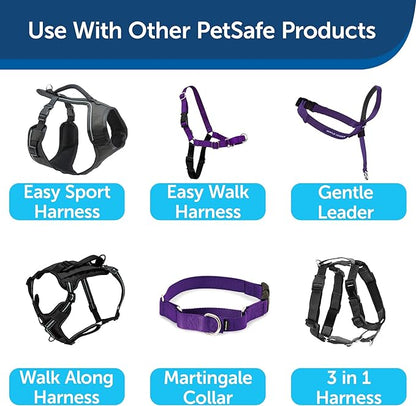PetSafe Nylon Dog Leash – Strong, Durable, Traditional Style Leash with Easy to Use Bolt Snap – 3/4" x 6', Deep Purple