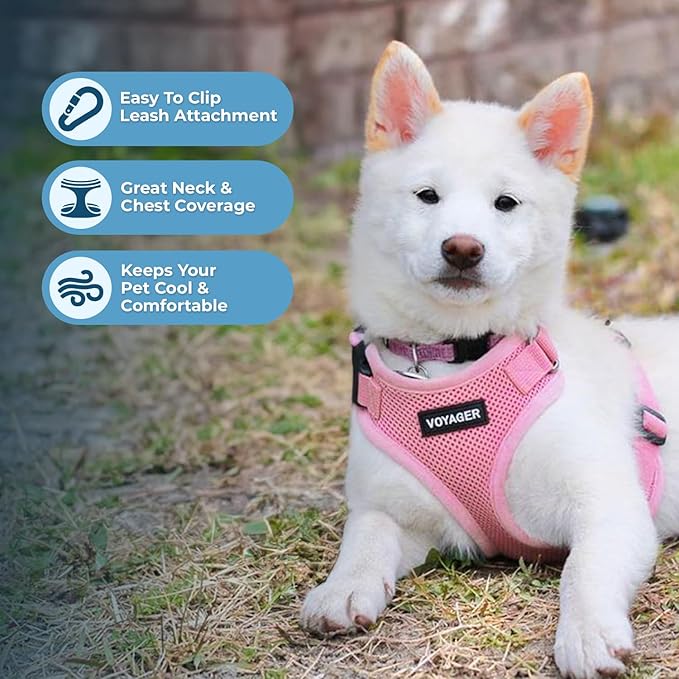 Voyager Step-in Lock Dog Harness w Reflective Dog Leash Combo Set with Neoprene Handle 5ft - Supports Small, Medium and Large Breed Puppies/Cats by Best Pet Supplies - Pink, M