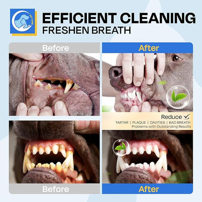 Dental Care Wipes for Dog- Teeth Cleaning Finger Wipes for Plaque and Tartar Removal, Safe & Gentle Disposable Toothbrush Wipes for Fresh Breath & Gum Care - 50 Pcs
