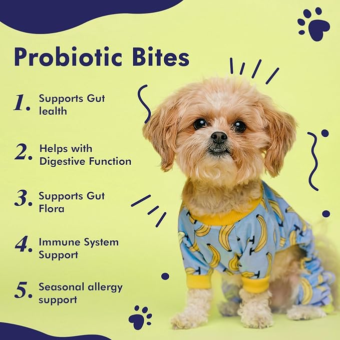 120 ct. Probiotics for Dogs- Dog Probiotics for Digestive Health, Support Gut Health, Diarrhea, Digestive Health & Seasonal Allergies, 264 Gram 2 Billion CFUs