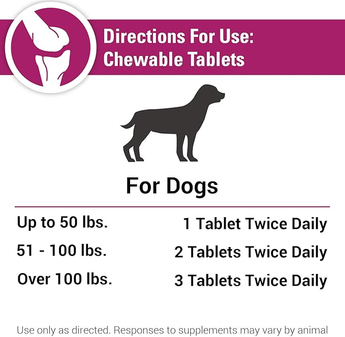 Vet Classics Pain Plus Extra Strength Health Supplement for Dogs - 120 Chewable Tablets