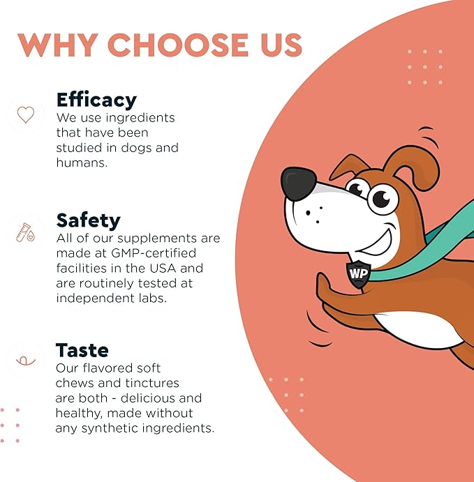 Skin & Coat Supplement for Dogs with Salmon Oil, Omega 3 & 6, EPA & DHA, Promotes Healthy Skin and Coat, Itchy Relief, Joint and Overall Health, Delicious Flavor, 70 skin & coat Soft Chews