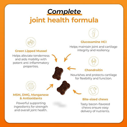 VetriScience GlycoFlex Plus Hip and Joint Supplement for Dogs – Extra-Strength Joint Support Chews with Green Lipped Mussel, Chondroitin, and Glucosamine for Dogs