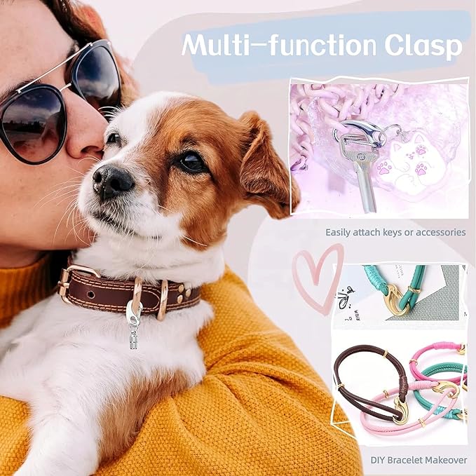2 Pack Dog Tag Clips, Pet Tag Quick Clip with Anti-Lost Pet ID Tags Barrel Tube, Stainless Steel Easy Change Pet ID Tag Holder for Dog Cat Collars Harnesses, Gold & Silver