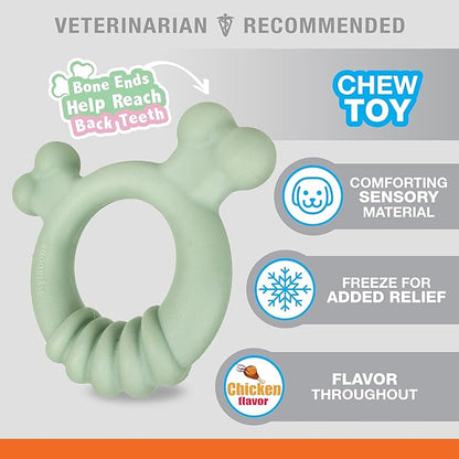 Nylabone Sensory Material Puppy Chew Toys Bundle - Puppy Teething Toys for Boredom & Stimulation - Puppy Supplies - Allergen-Free Peanut Butter and Chicken Flavor, Small/Regular (2 Count)