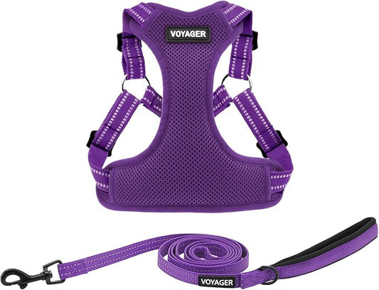 Best Pet Supplies Voyager Adjustable Dog Harness Leash Set with Reflective Stripes for Walking Heavy-Duty Full Body No Pull Vest with Leash D-Ring, Breathable All-Weather - Harness (Purple), M