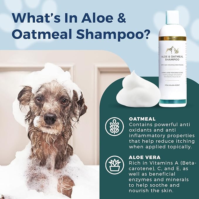 PetScy - Itch Relief & Aloe & Oatmeal Shampoo Bundle - Dog Itch Relief With Fatty Acids, EPA, DHA & Omega - Moisturizing Pet Shampoo for Skin Relief - For Healthy Shiny Coats - 30 Chews & 12 oz Bottle
