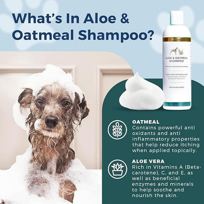 PetScy - Itch Relief & Aloe & Oatmeal Shampoo Bundle - Dog Itch Relief With Fatty Acids, EPA, DHA & Omega - Moisturizing Pet Shampoo for Skin Relief - For Healthy Shiny Coats - 30 Chews & 12 oz Bottle