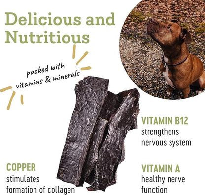 Farm Hounds Beef Liver Jerky Treats for Dogs, Premium Dried Dog Treats, High Protein Training Treat for Small & Large Dogs, Natural & Healthy Dog Treats, Made in USA, Beef Liver 4oz