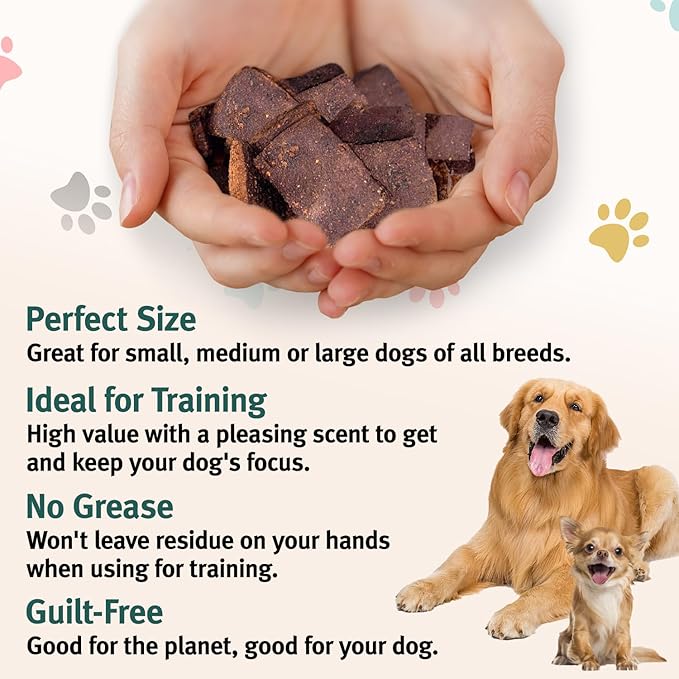 Arch Skin & Coat Dog Treats | Omega-Rich, Hypoallergenic, Made in The USA, Gluten-Free, Eco-Friendly | High Protein, Natural High Value | Sensitive Stomach Approved | Itch Relief, Healthy Coat Support