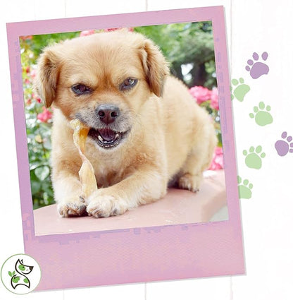 Nature Gnaws Mixed Beef Tendons & Paddywack for Dogs - Premium Natural Beef Dental Bones - Long Lasting Tasty Dog Chew Treats - Puppy Training Reward