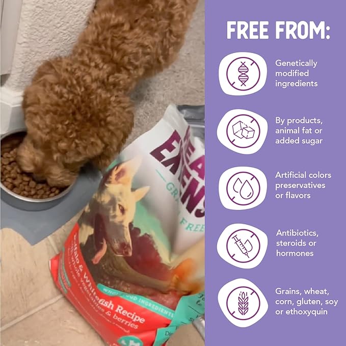 Health Extension Dry Dog Food, Natural Food with added Vitamins & Minerals, Suitable for All Puppies, Include Buffalo, Whitefish & Sweet Potato Recipe with Whole Vegetable & Berries (23.5 Pound)