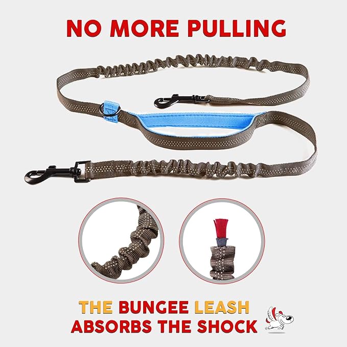 Exquisite Double Hands Free Leash for Large Dogs | Retractable Dog Leash 2 Dogs | Waist Dog Leash for Large Dogs | Two Dog Leash for Large Dogs | Leash for Big Dogs | Hands Free Running Dog Leash