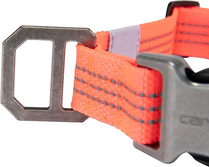 Carhartt Fully Adjustable Nylon Webbing Collars for Dogs, Reflective Stitching for Visibility, Coral Glow (Nylon Webbing), Large