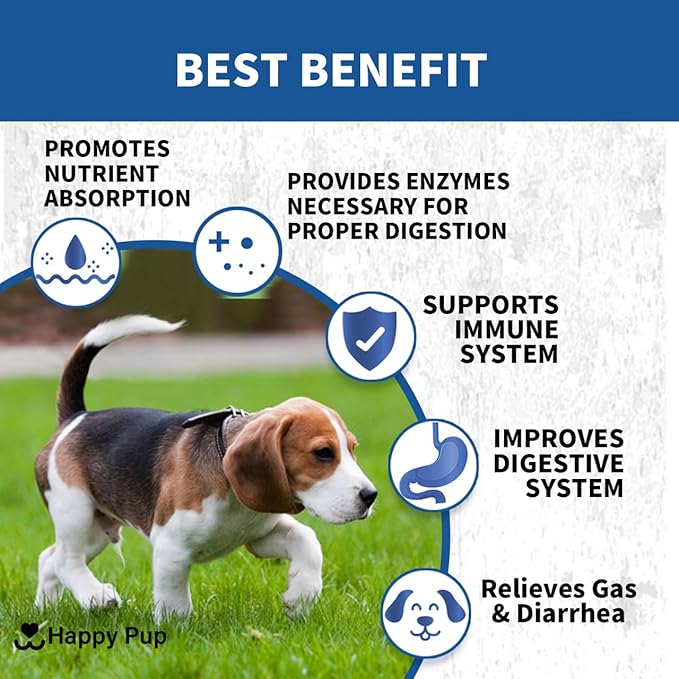 Probiotics for Dogs – Natural Digestion & Health Supplement, Support Gut Health, Nutrient Absorption, Diarrhea, Digestive Health, No Artificial Ingredients 120 Soft Chews Chicken