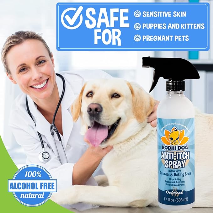 Bodhi Dog Anti Itch Spray | 100% Natural Soothing Relief for Dry, Itchy, Bitten or Allergy Damaged Skin Treatment | Anti Itch Spray for Dogs & Cats | Made in USA (Oatmeal, 17 oz)