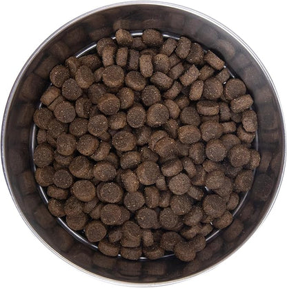 Health Extension Dry Dog Food, Natural Food for All Puppies & Dogs with Added Vitamins & Mineral, Lamb & Brown Rice Recipe (1 Lb / 0.4 Kg)