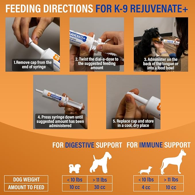 K9 Rejuvenate+ Canine Oral Paste (60g Oral Syringe, Pack of 1) Digestive and Immune Support for Dogs - Dog Supplements for Digestion