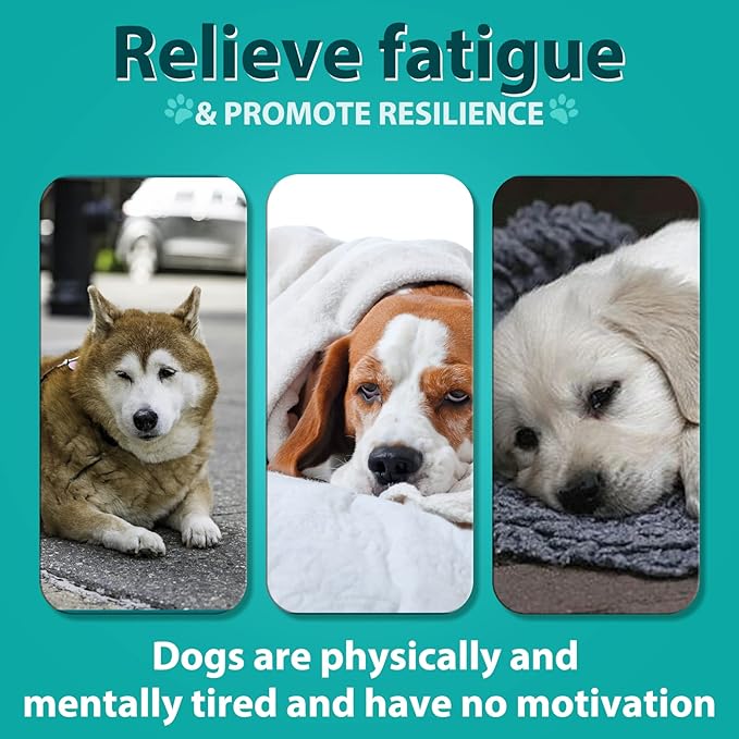 Hemp Calming Chews for Dogs 110 Count, Chicken Flavor Dog Calming Treats, Helps with Dog Anxiety, Separation, Barking, Stress Relief, Melatonin for Dogs, Sleep Calming Aid, for All Breeds & Sizes