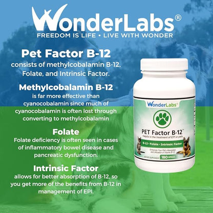 Pet Factor B-12 | Vitamin B-12 in Methylcobalamin Form | Popular in Treatment of EPI in Dogs 180 Capsules