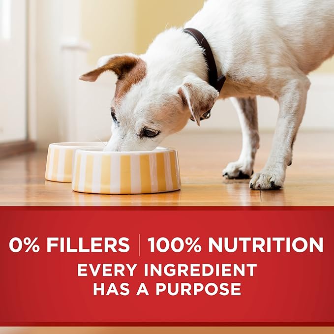 Purina ONE Tender Cuts in Gravy Beef and Barley Entree in Wet Dog Food Gravy - (Pack of 12) 13 oz. Cans