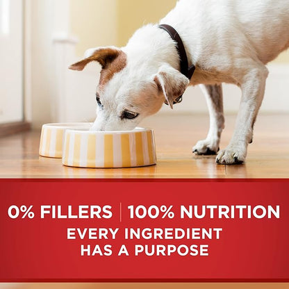 Purina ONE Tender Cuts in Gravy Beef and Barley Entree in Wet Dog Food Gravy - (Pack of 12) 13 oz. Cans