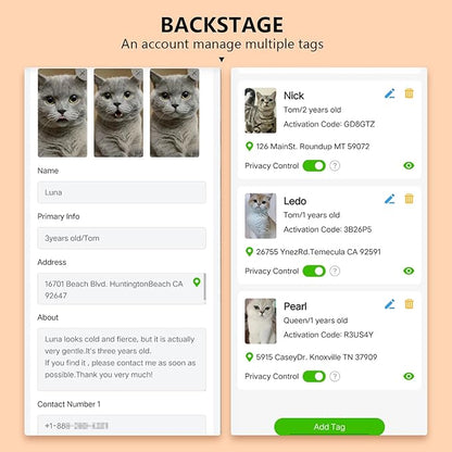 (2 Pack) QR Code Pet ID Dog cat Tags for Collar Personalized for Pet Online Profile - Scan QR Receive Instant Pet Location Alert Email, Anti-Lost,No Subscription fees (Black & Green, for cat - 1")