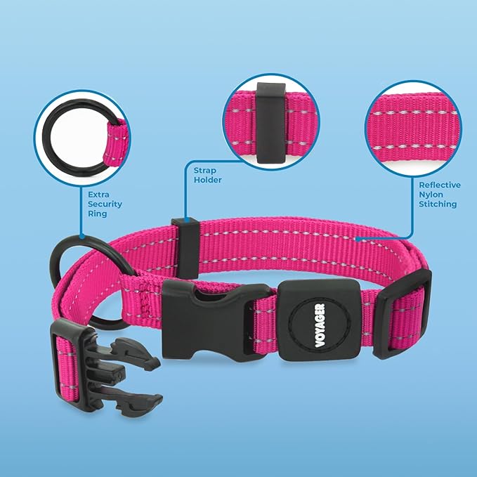Voyager Reflective Dog Leash Collar Set with Neoprene Handle Supports Small, Medium, and Large Breed Puppies, Cute and Heavy Duty for Walking, Running, and Training - Fuchsia, M