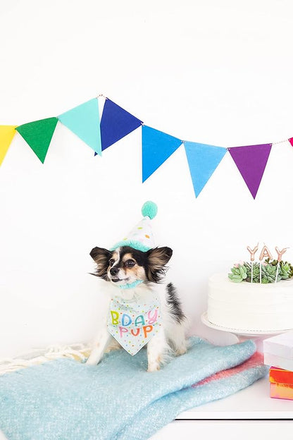 Pearhead Birthday Pup S/M Bandana Hat Set, Pet Birthday Gift, Dog Birthday Party Accessories, Party Hat and Bandana for Dogs, Pet Owner Must Have Accessories, Small/Medium