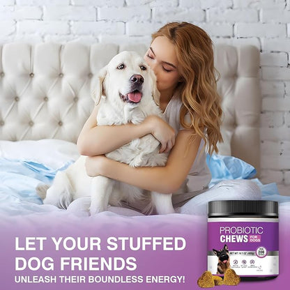 Probiotics for Dogs Dog Probiotic Chews and Digestive Enzymes Prebiotic Health Gut Itchy Skin Probioticos Itching Diarrhea Chew Supplements Canine Pet Prebiotics 200 Natural Soft Chewable Tablets