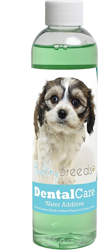 Healthy Breeds Dog Dental Care Water Additive for Cavachon - OVER 200 BREEDS - Helps Freshen Breath Reduce Plaque & Control Tartar - Mint Flavor - 8 oz