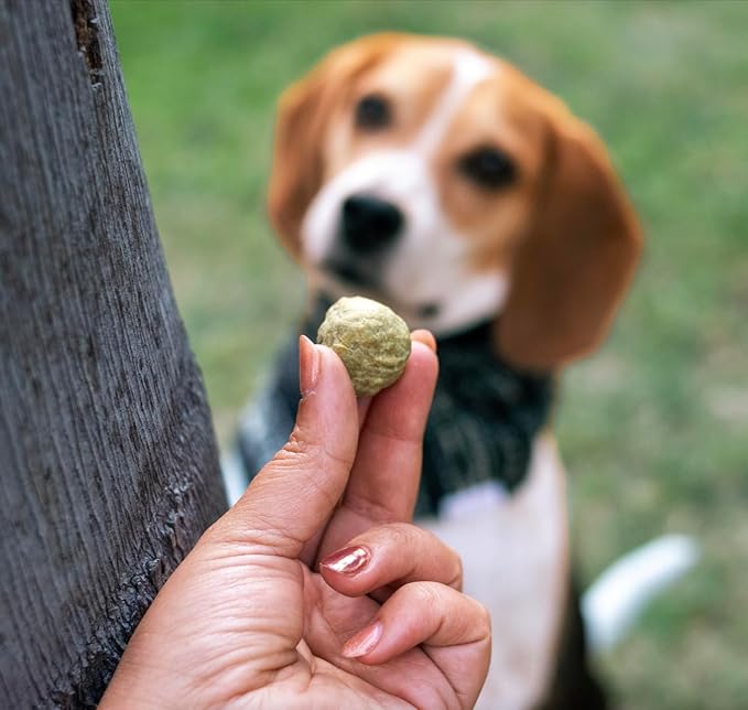 Whole Beast - Organ Blend Dog Treats - Skin & Coat, Digestion, Cognitive Function, and Energy - Beef, Liver, Heart, Kidney, Bone Broth and Blood - Whole Prey - 6oz