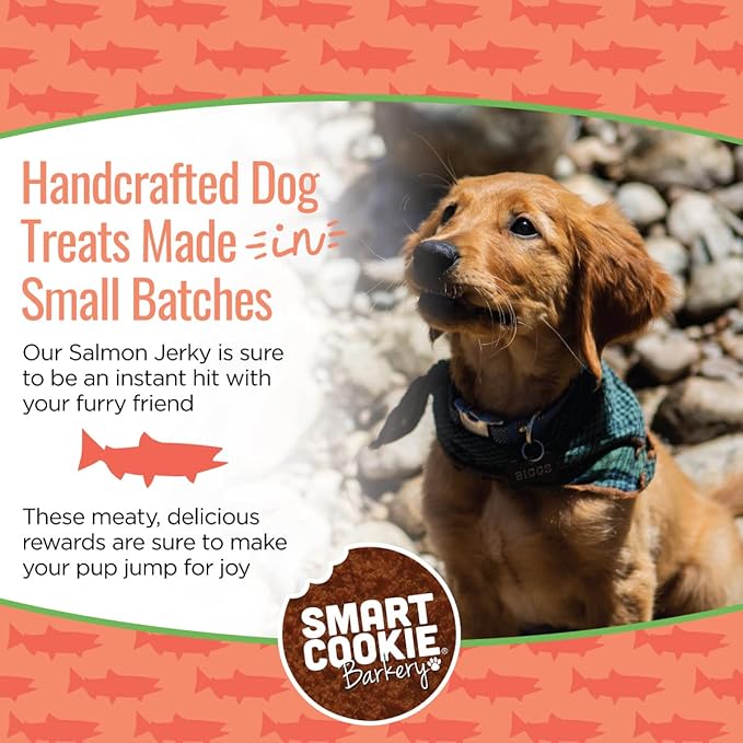 Salmon Jerky Dog Treats - DHA, Omega Strips for Dogs & Puppies with Allergies, Sensitive Stomachs with Wild Caught Alaskan Salmon- Dehydrated, Grain Free, Made in USA - 3oz Bag, Pack of 3