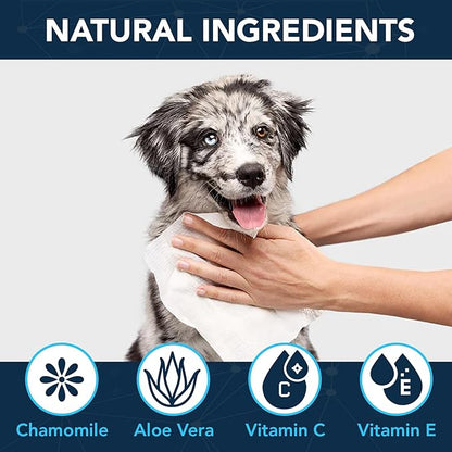 NOVEHA 120 Dog Wipes - Odor Eliminating and Cleaning Grooming Wipes for Dog's Paws, Body, and Butt - Perfect for Puppy and Adult Dogs - Plant-Based, Safe, Convenient & Large Unscented Wipes