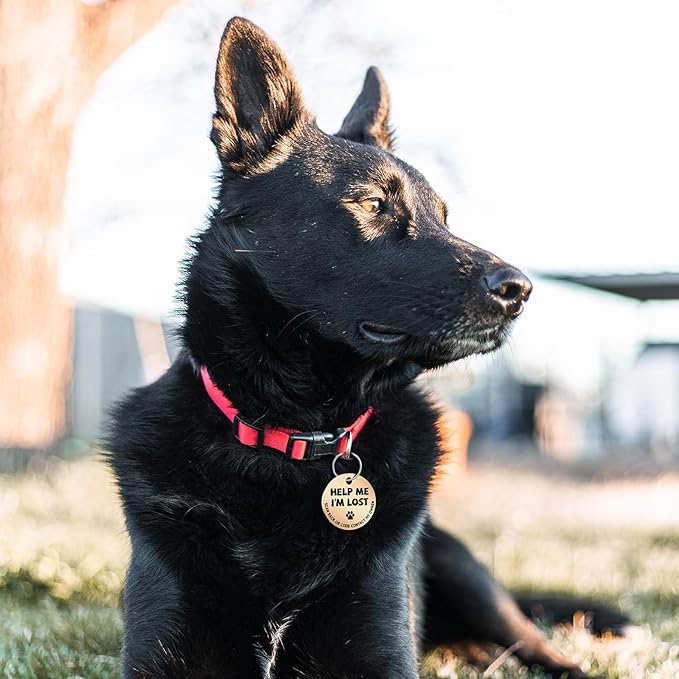MYLUCKYTAG Stainless Steel QR Code Pet ID Tags Dog Tags - Pet Online Profile - Scan QR Receive Instant Pet Location Alert Email
