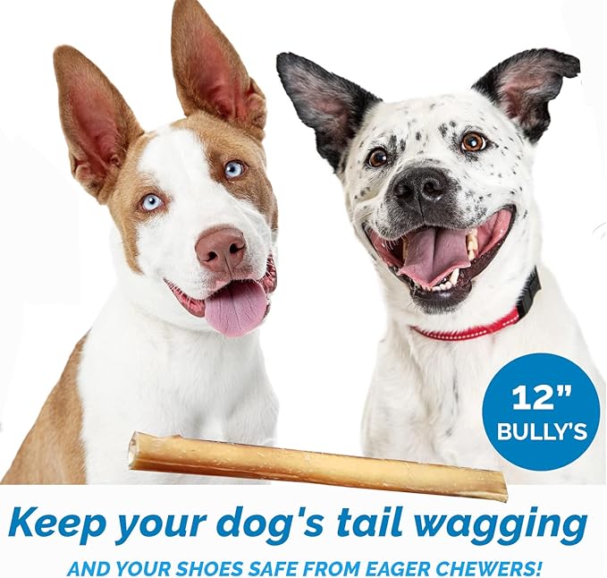 12 Inch Bully Stick for Dogs (1 Pound Bag) 100% Natural Bulk Chews for Dogs & Puppies - Beef Sticks for Small, Medium and Large Dogs