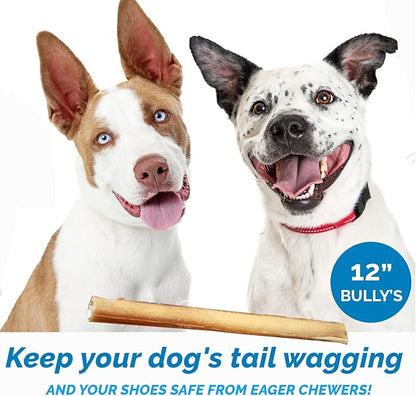 12 Inch Bully Stick for Dogs (1 Pound Bag) 100% Natural Bulk Chews for Dogs & Puppies - Beef Sticks for Small, Medium and Large Dogs