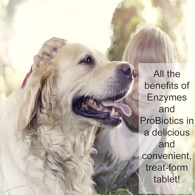 Total-Zymes PLUS Vegetarian Digestive Enzymes for Dogs & Cats, Supports a Healthy Digestive Tract & Immune System, Advanced Probiotics & Prebiotics- 100 Chewable Tablets by NWC Naturals