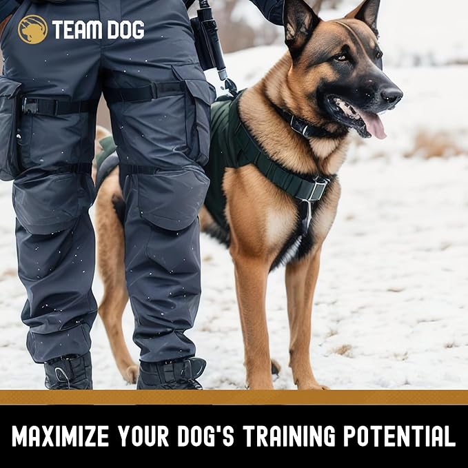 Freeze Dried Turkey Dog Treats for Training | Healthy Gluten Free, Grain Free Dog Treats | No Added Fillers, Flavoring or by-Products | for All Breeds & Sizes | 5.2 Oz