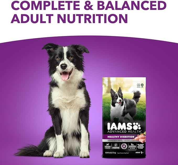 IAMS Advanced Health Adult Healthy Digestion Dry Dog Food with Real Chicken, 6 lb. Bag