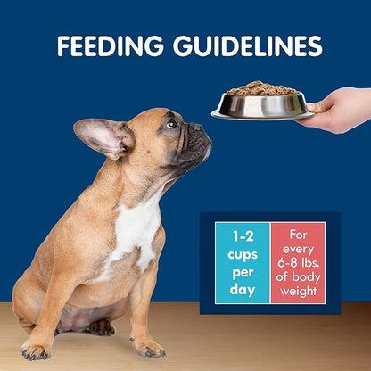 Blue Buffalo Delights Natural Adult Small Breed Wet Dog Food Cups, Pate Style, Chicken and Prime Rib 3.5-oz (12 Pack- 6 of Each Flavor)