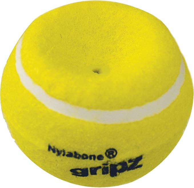 Nylabone Power Play Tennis Gripz Fetch Toy, Squeaky Tennis Ball Chew Toy for Dogs, Large (2 Count)