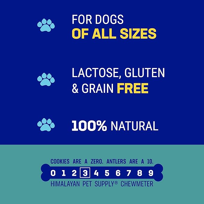 Himalayan Dog Chew Yak Cheese Dog Chews, 100% Natural, Long Lasting, Gluten Free, Healthy & Safe Dog Treats, Lactose & Grain Free, Protein Rich, Medium, 4.5 oz