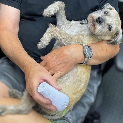 Light Therapy for Dogs and Pets - LED Light Therapy for Pain Relief, Muscle & Joint Pain, Reduce Inflammation, Heal Wounds, & Clear Skin Problems with 2 Therapy Modes