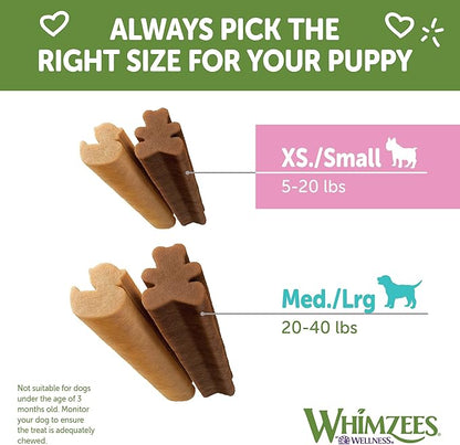 WHIMZEES by Wellness Puppy Natural Dental Chews for Dogs, Long Lasting Treats, Grain-Free, Freshens Breath, Extra Small/Small Breed, 30 count , 7.90 Ounce (Pack of 1)