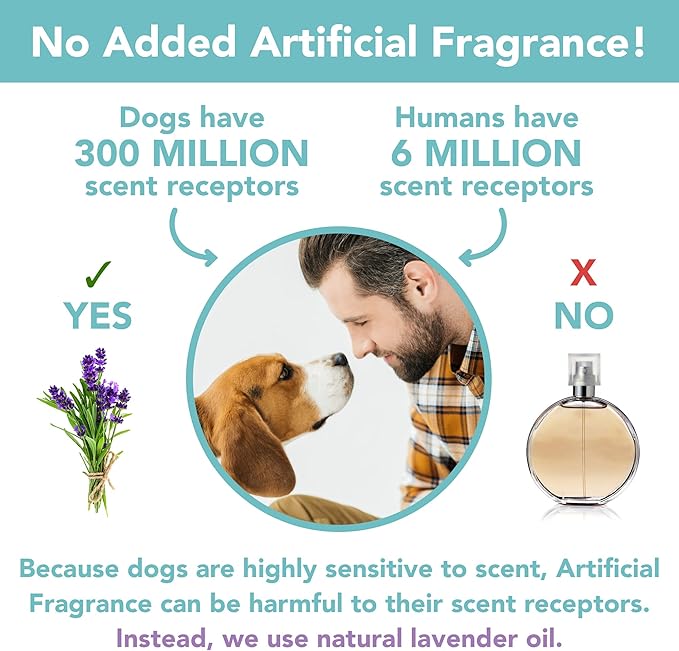Fragrance Free Ear Wipes for Dogs (2-Pack)