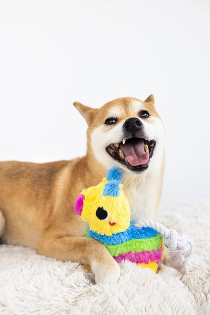 Pearhead Puppy Pinata Dog Toy, Rope Tug Toy for Dogs, Colorful Interactive Dog Toys, Party Pinata Toy for Dogs, Plush Chew Toy, Pet Owner Must Have Toy