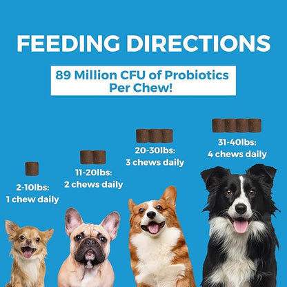 Nootie Progility Mini Skin & Coat Supplement for Small Dogs, Fish Oil Supports Healthy Skin & Coat, 60 Soft Chews per Container