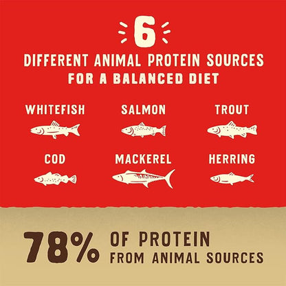 Stella & Chewy's Wild Red Dry Dog Food Raw Coated High Protein Wholesome Grains Ocean Recipe, 21 lb. Bag
